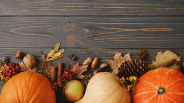 Thanksgiving Flat Lay Flat Lay of pumpkin, squash, pine cone, leaves. Elements of Autumn.